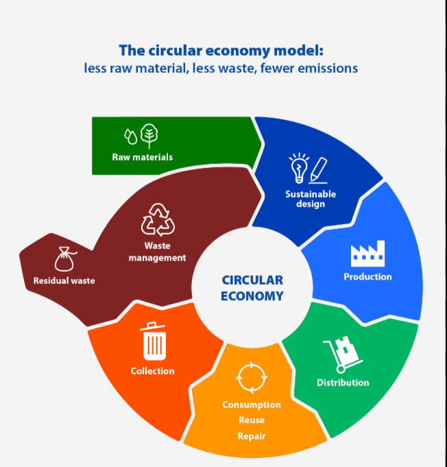 Circular Economy Business Models: From Linear to Sustainable in 5 Steps